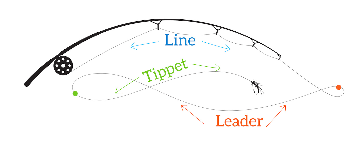Fly line leader and tippet diagram
