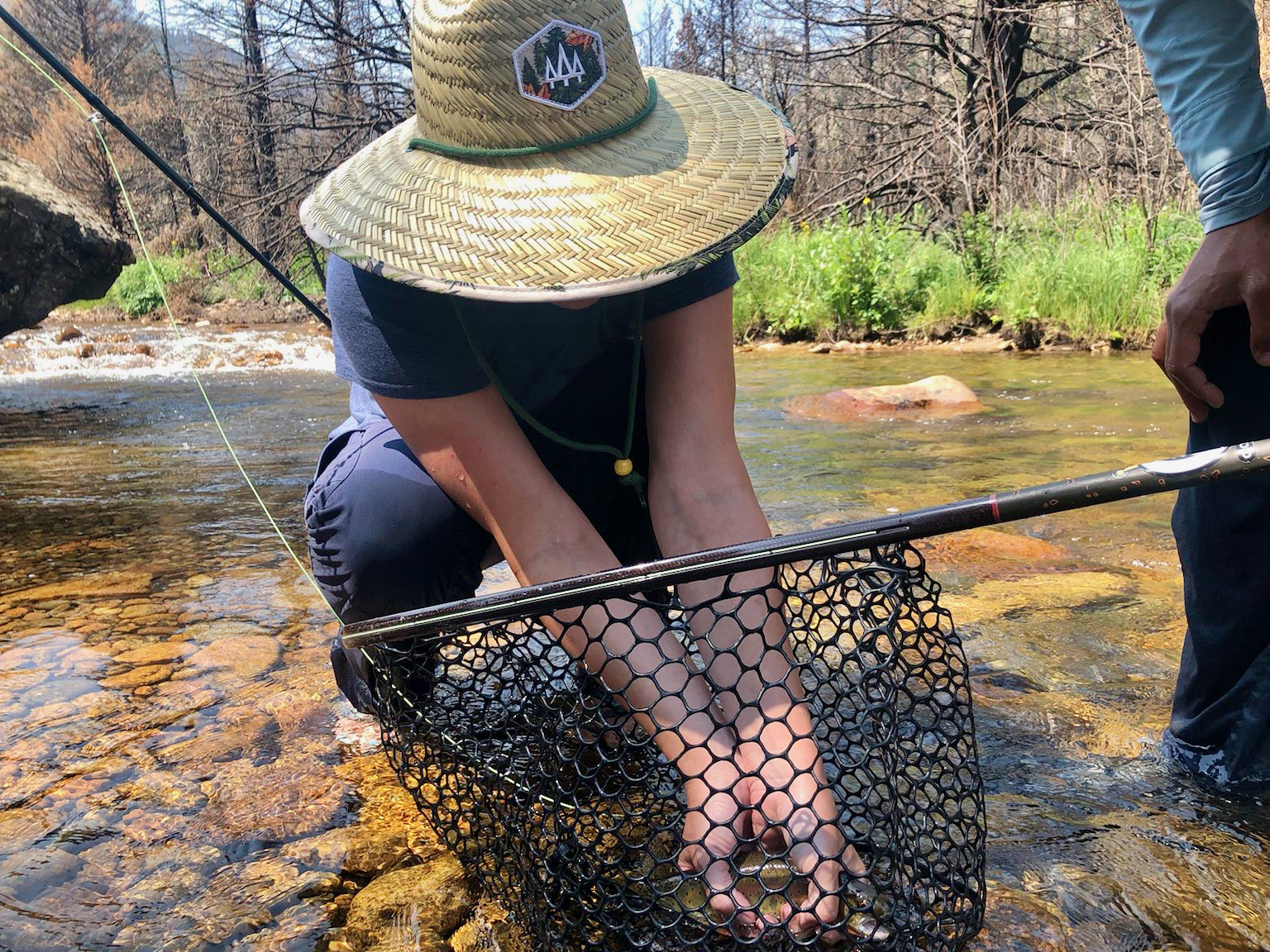 Woman picking a fish up out of a fly fishing net