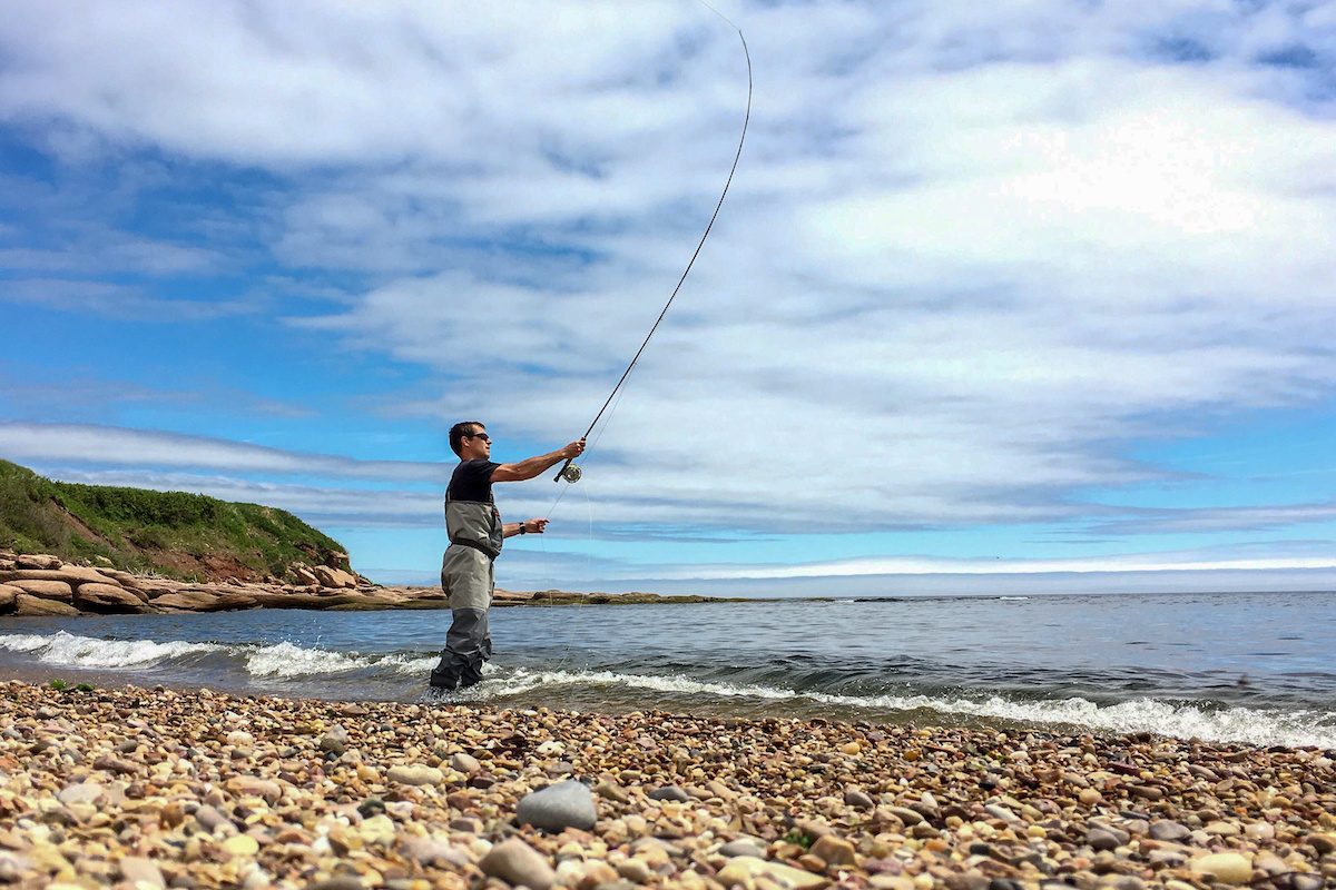 Saltwater fly fishing for Striped bass on Quebec's Gaspe Peninsula, Canada