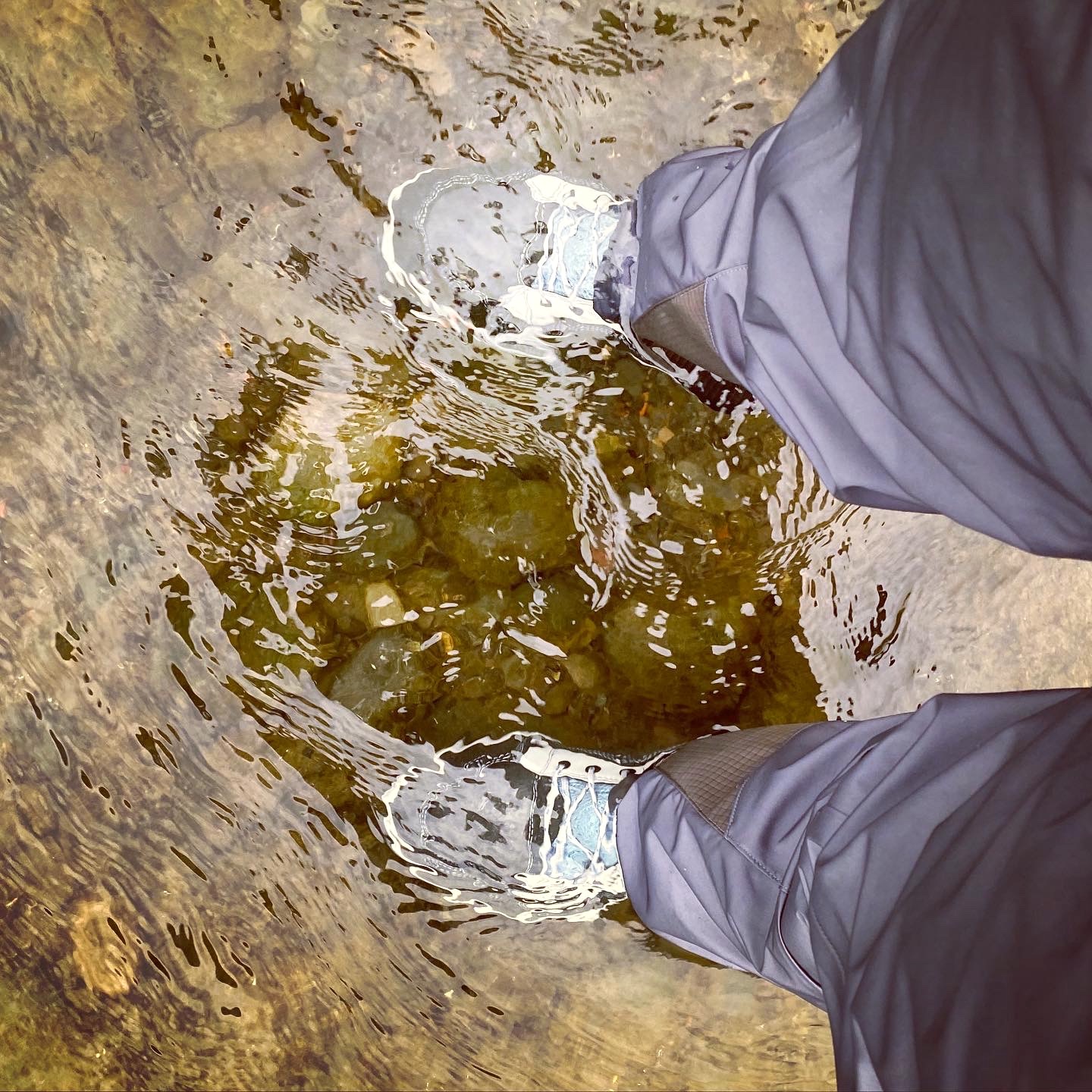 Wading boots in river water